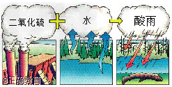 下图是酸雨的形成示意图,看图回答:1.酸雨的有害成分是图中的。2.酸雨能腐蚀和户外雕塑,使枯萎,甚至能伤害人的和黏膜。3.酸雨不一定是有害排放物造成的。因为气 |