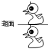www.xiangpi.com