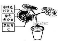 www.xiangpi.com