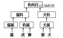 www.xiangpi.com