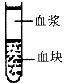 www.xiangpi.com