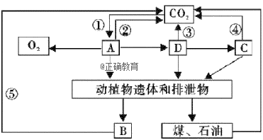 www.xiangpi.com