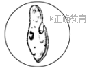 www.xiangpi.com