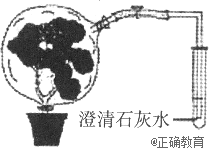 www.xiangpi.com