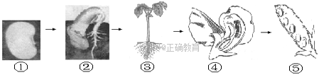 www.xiangpi.com
