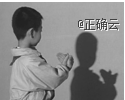 www.xiangpi.com