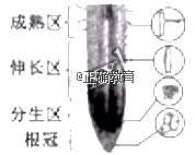 www.xiangpi.com