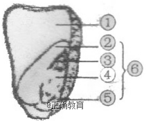 www.xiangpi.com