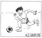 www.xiangpi.com