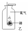 www.xiangpi.com