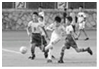 www.xiangpi.com