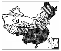 www.xiangpi.com