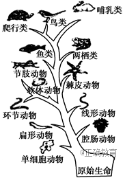 www.xiangpi.com