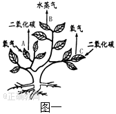 www.xiangpi.com