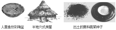 www.xiangpi.com
