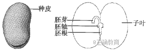 www.xiangpi.com