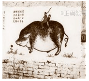 www.xiangpi.com