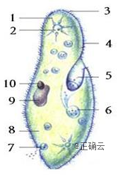 www.xiangpi.com