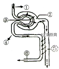 www.xiangpi.com