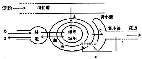 www.xiangpi.com