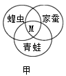 www.xiangpi.com