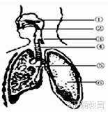 www.xiangpi.com