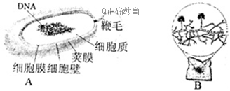 www.xiangpi.com