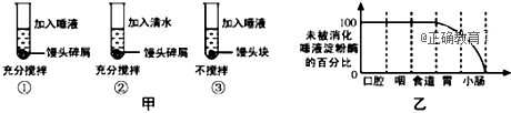 www.xiangpi.com