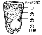 www.xiangpi.com