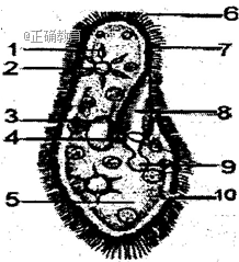 www.xiangpi.com