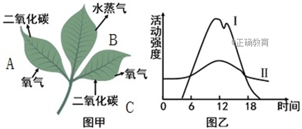 www.xiangpi.com