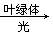 www.xiangpi.com