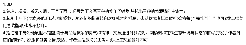 沙漠中骆驼基督教歌谱