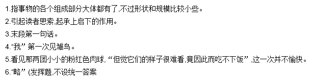 有一天,我们正在吃午饭,孩子忽然大叫:"小鸟孵出来了.