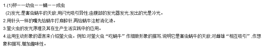 萤火虫尹衍国 ①"萤火虫