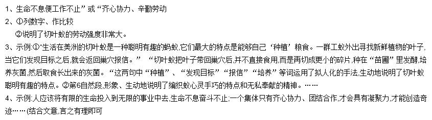合作勤劳的蚂蚁图片